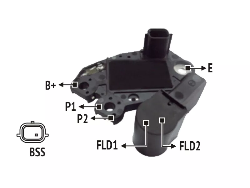 RNV 609721          